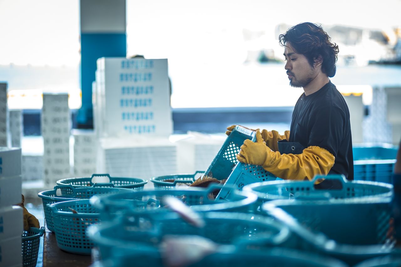 Iizuka Tetsuo, comprador intermediario de productos marinos. (Fotografía: Sōma Taberu Tsūshin)