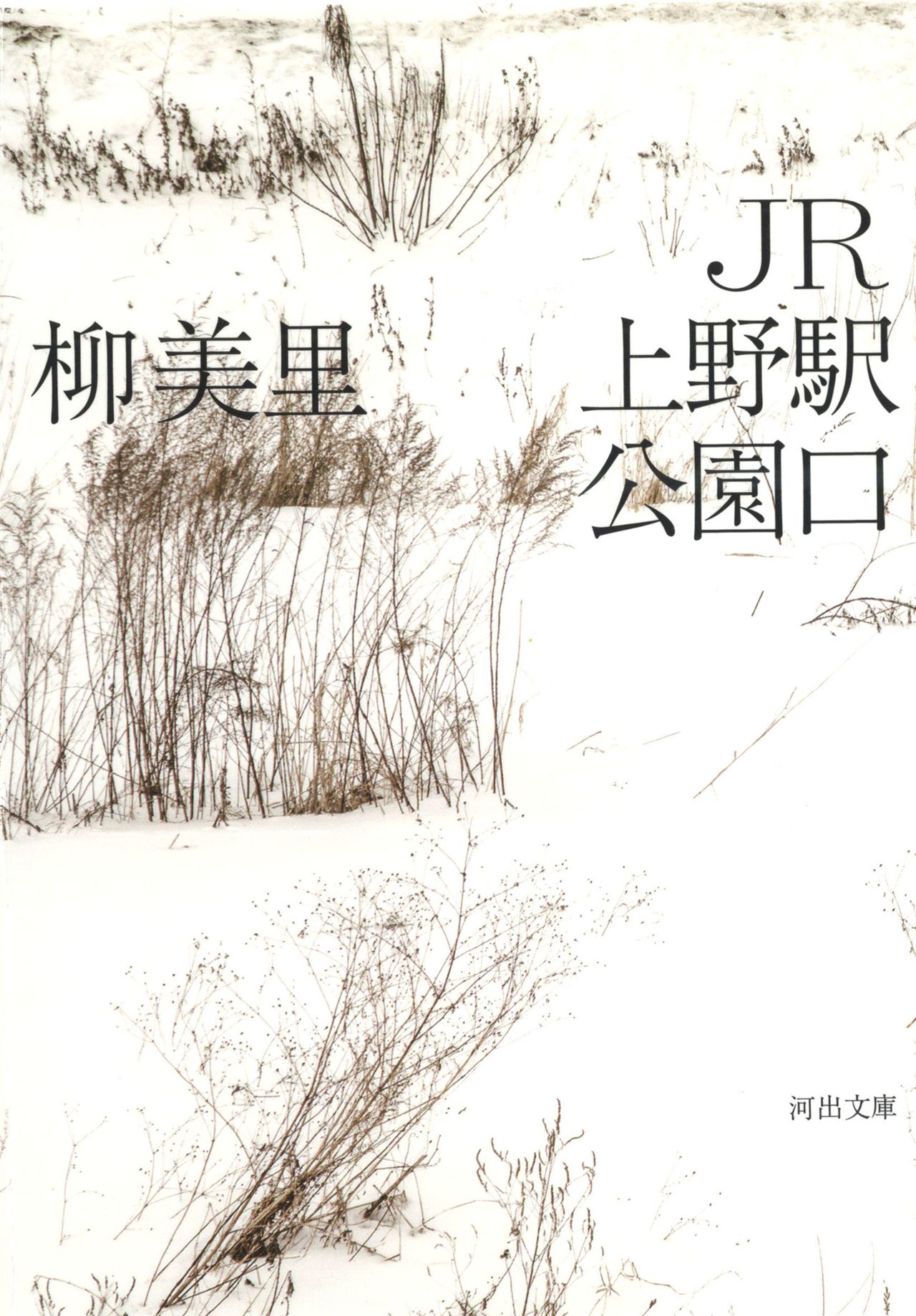 Portada de la novela en japonés. 