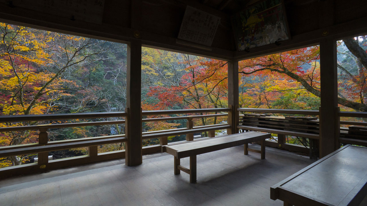 Vista del valle teñido por los colores otoñales desde Ryūsenkaku. 
