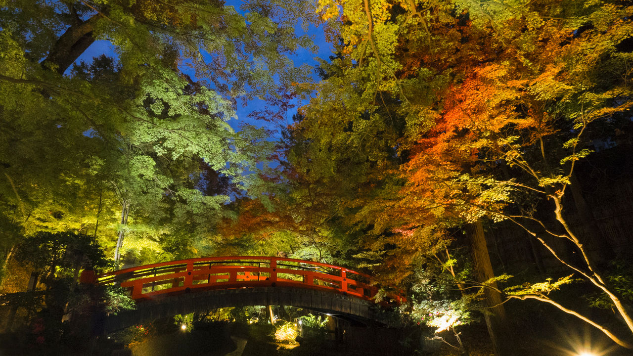 El puente Uguisu pintado en bermellón sobre el río Kamiya rodeado por las hojas coloreadas de arce.