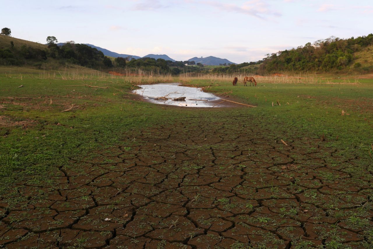 Foto ilustrativa de caballos cerca del terreno secao en la represa de Jaguari, que forma parte del sistema de embalses de Cantareira, en medio de una sequía en Joanopolis, cerca de Sao Paulo, Brasil 
Oct 8, 2021. REUTERS/Amanda Perobelli