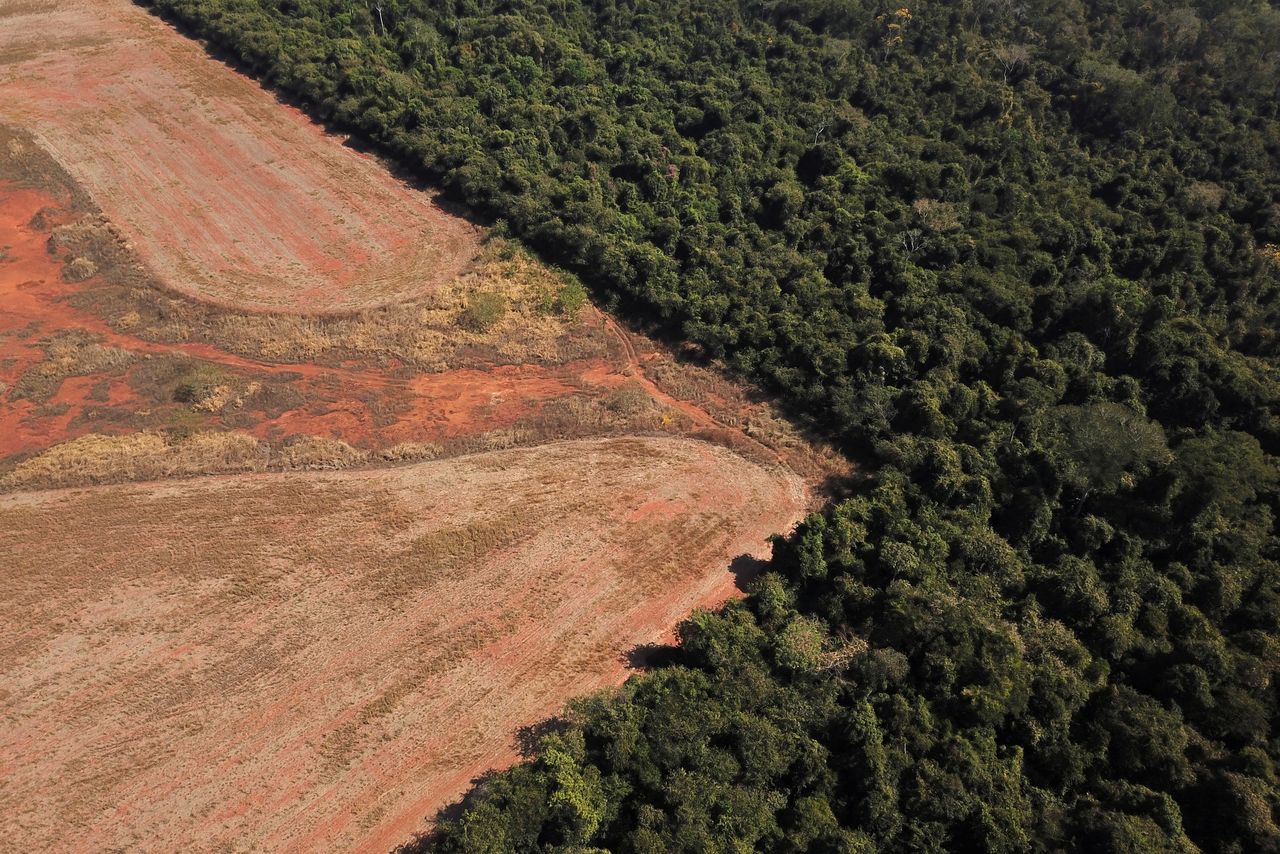 Una vista aérea muestra la deforestación cerca de un bosque en la frontera entre la Amazonia y el Cerrado en Nova Xavantina, estado de Mato Grosso, Brasil. 28 de julio de 2021. Imagen tomada con un dron. REUTERS/Amanda Perobelli