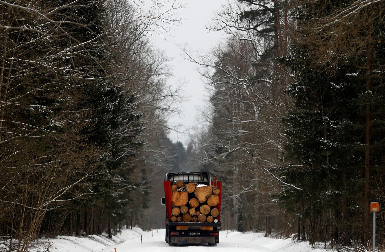 FOTO DE ARCHIVO: Un camión cargado de troncos en el corazón de uno de los últimos bosques primigéneos de Europa, el bosque de Bialowieza, en Polonia, el 15 de febrero de 2018. REUTERS/Kacper Pempel