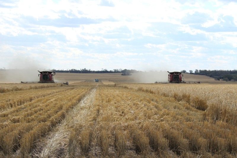 Foto de archivo de dos cosechadoras en un campo de trigo en Moree, Australia
Oct 27, 2020. 
REUTERS/Jonathan Barrett/