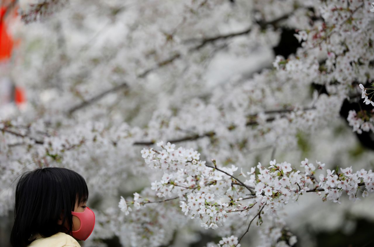 FOTO DE ARCHIVO: una chica con mascarilla durante la pandemia de la enfermedad del coronavirus (COVID-19) contempla los cerezos en flor en el Parque Ueno de Tokio, Japón, el 27 de marzo de 2021. REUTERS/Kim Kyung-Hoon
