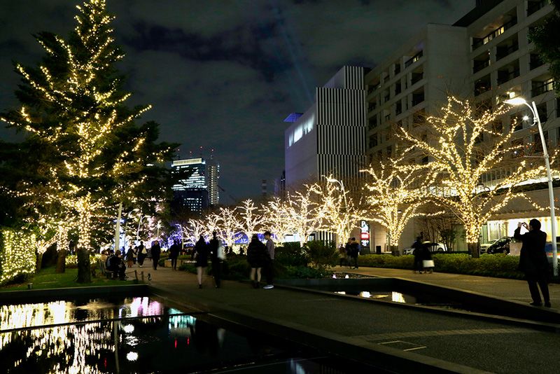 Galería de fotos: una noche romántica bajo la iluminación navideña