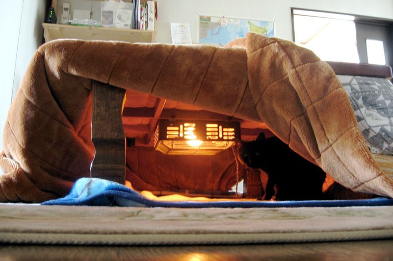 Kotatsu » : une table pour réchauffer le cœur des Japonais