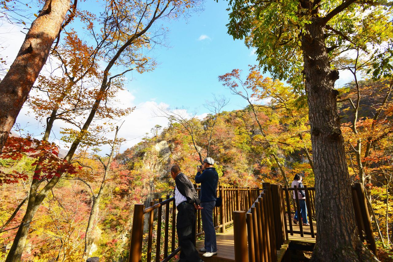 Les sentiers de promenade et les ponts d'observation permettent aux visiteurs de profiter des splendeurs des gorges de Naruko-kyō. (© Shoe Press)