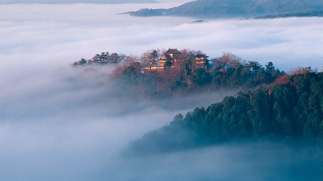 Le château de Bichû Matsuyama flotte dans les nuages au lever du jour