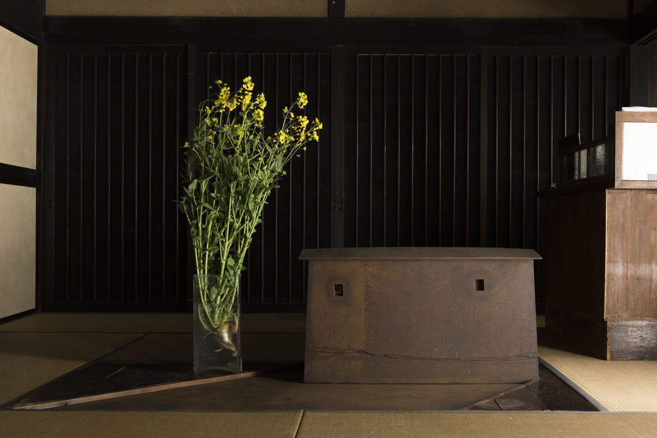 À la réception de l’entrée, les fleurs de colza apportent une note décorative au gré des saisons
