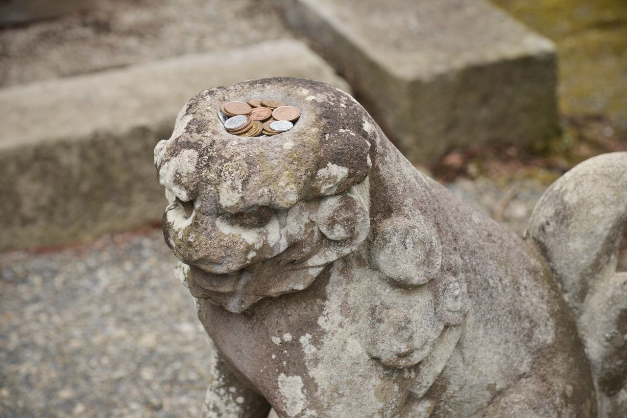 La statue du komainu au crâne de kappa se trouve à main gauche après l’entrée du temple.