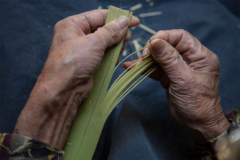 Dans un tronçon de bambou vert de 37 cm de long, Mme Akutsu pratique 9 fentes verticales à l’aide d’une grande lame. Puis, après avoir désépaissi le tronçon, à l’aide d’un scalpel, elle marque 40 fentes pour en tirer des lames de moins d’1 mm d’épaisseur qu’elle ouvre à la main.