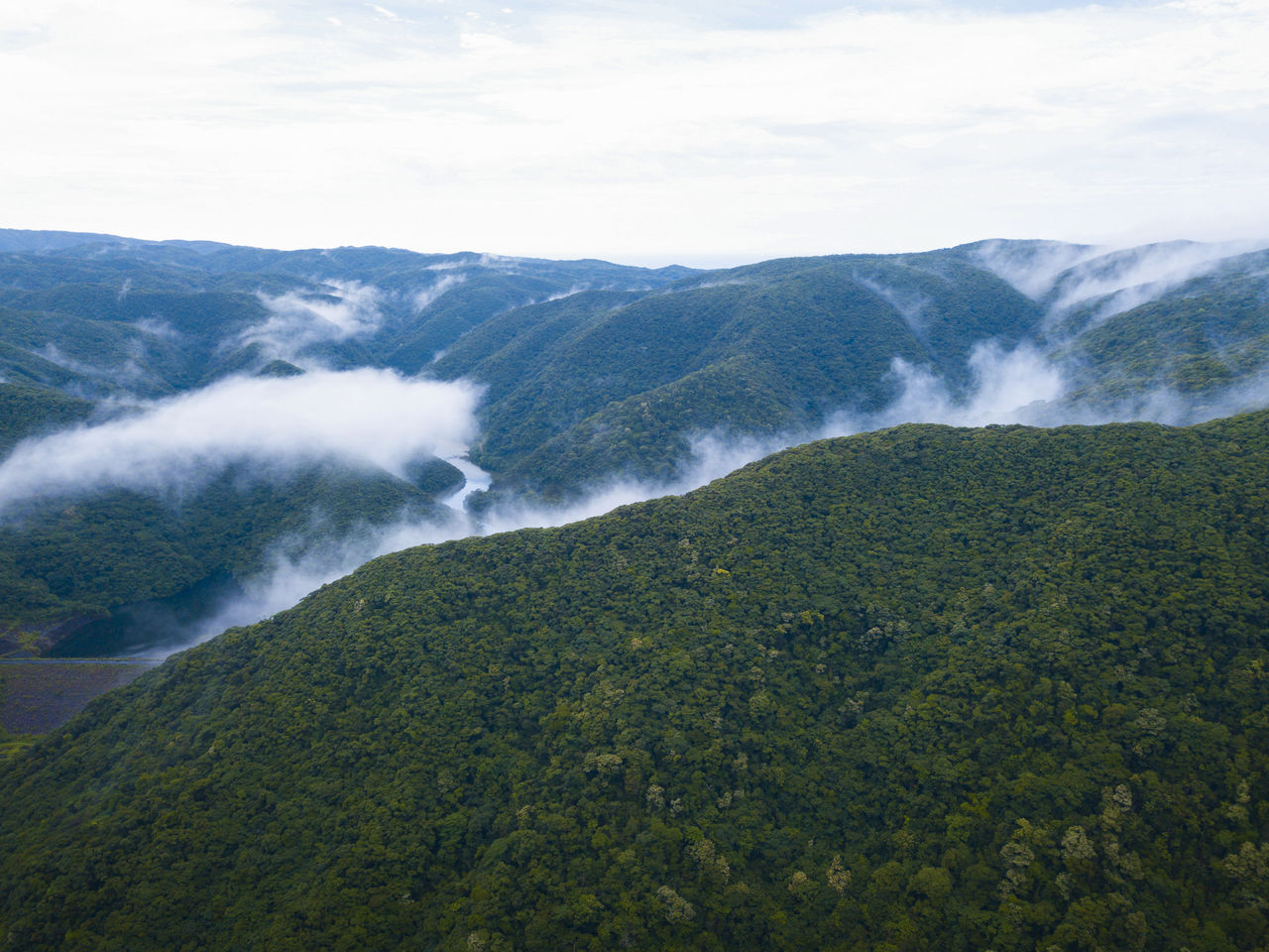 Une photo aérienne des vastes étendues de la forêt primitive de Kinsakubaru.