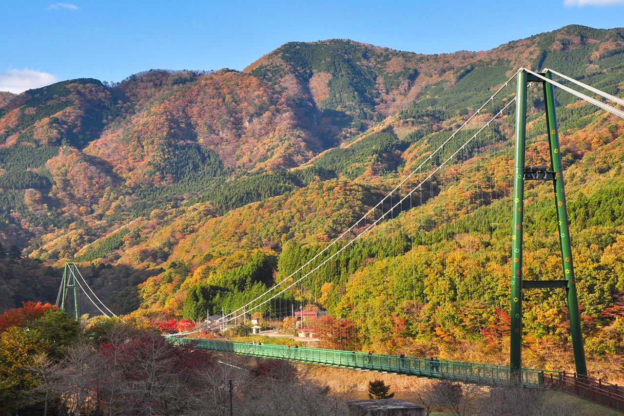 Le pont suspendu de Momiji-dani, qui surplombe la vallée de Shiobara attire de nombreux visiteurs qui viennent admirer les couleurs d’automne (avec l'aimable autorisation de l'association de tourisme et des produits locaux de la préfecture de Tochigi). 