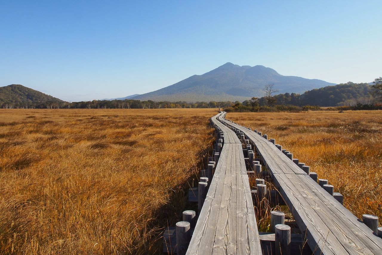 Les graminées d’automne à Oze, avec le mont Shibutsu en arrière-plan (avec l'aimable autorisation du bureau de tourisme de Gunma et de la campagne de tourisme « GuGutto Gunma »).