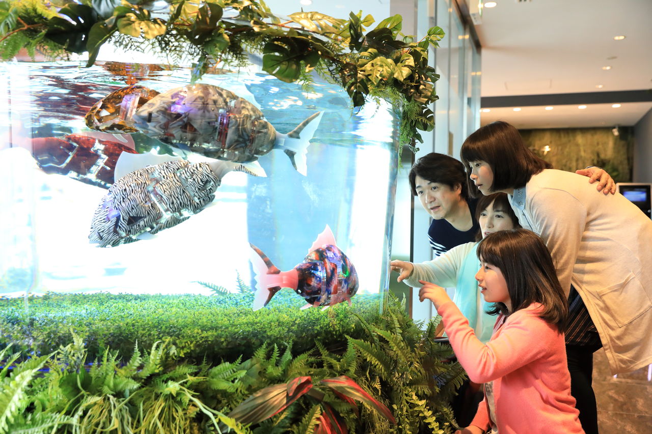 Des robots représentant des poissons fossiles nageant dans un aquarium : une autre attraction qui fait la joie des clients, petits et grands. (Photo avec l’aimable autorisation de Henn na Hotel à Maihama, baie de Tokyo)