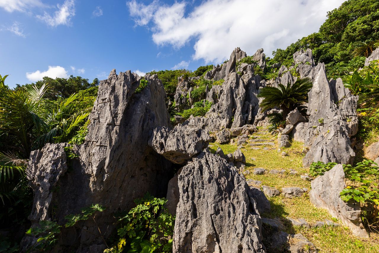 La région de Yanbaru a un relief très découpé, avec d’imposants rochers. Il s’agit de l’endroit le plus au nord dans le monde pour la topographie karstique subtropicale.