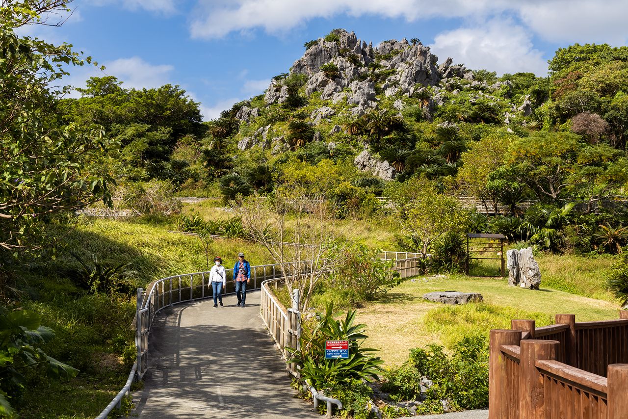 Les derniers mètres du Sentier de la mégalithe et du Sentier Churaumi avec vue sur l’océan se croisent sur le parcours accessible aux personnes à mobilité réduite. Ces trois sentiers mènent à l’aire de repos de Seikigoya.