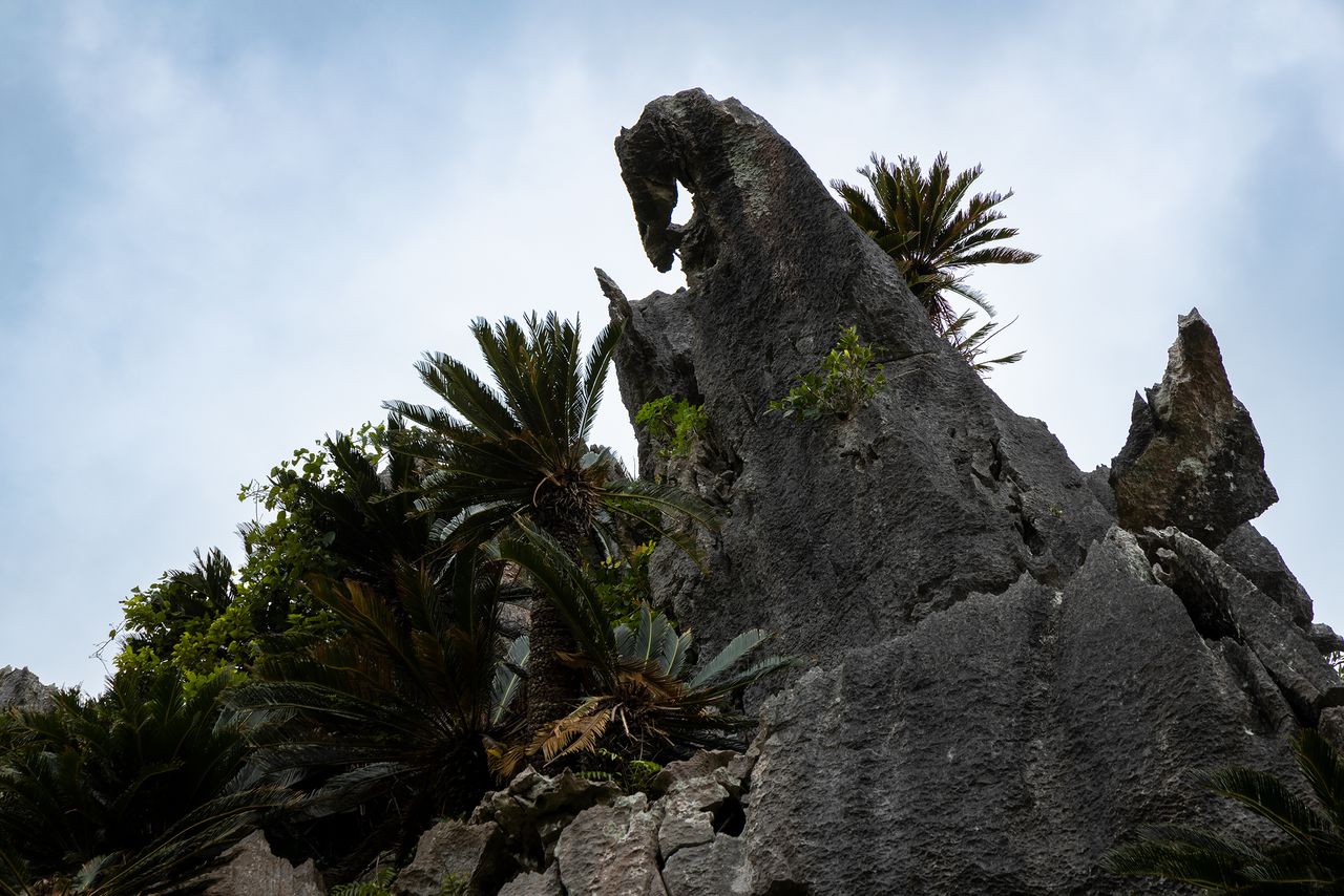 Le rocher du Roi Dragon, qui se dresse au sommet du rocher Gokû, est vénéré depuis des temps immémoriaux.
