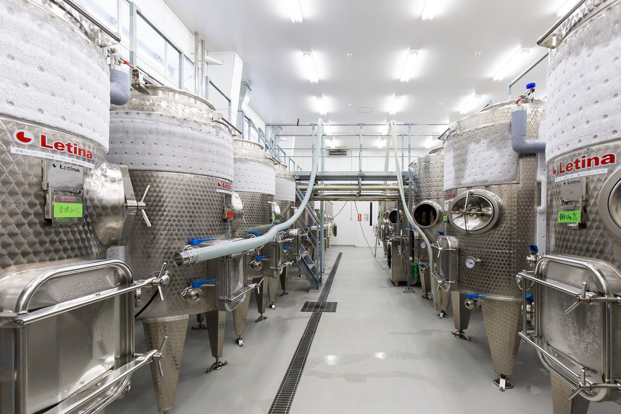 Les cuves de fermentation du vignoble ont une capacité totale de 50 000 litres.
