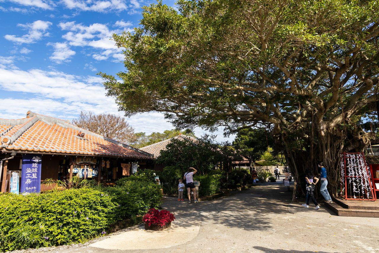 Le village des châteaux du royaume de Ryûkyû comprend des maisons traditionnelles, enregistrées au patrimoine culturel tangible du Japon, qui ont été déplacées au sein du parc à thème.