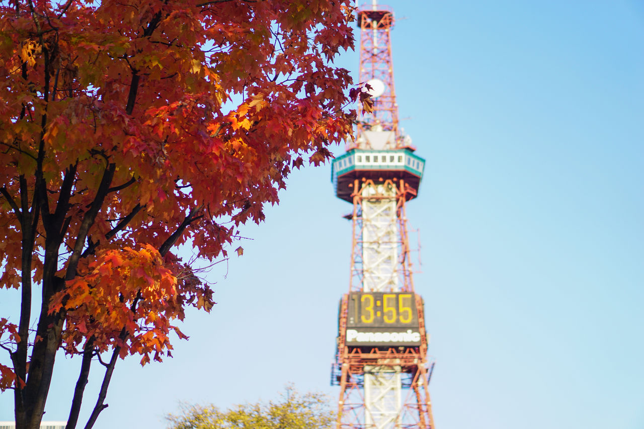 Le tour de la télévision de Sapporo et le feuillage d’automne de l’est du parc Ôdôri.