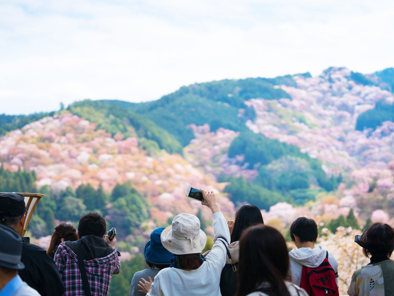 Le spectacle des hitome senbon, vu du sanctuaire Yoshimizu, ravit les photographes.