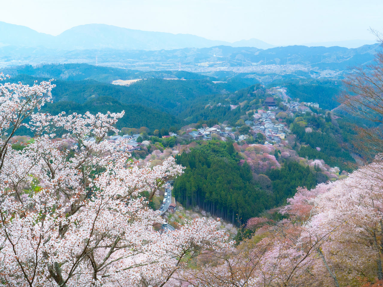 Le panorama des environs de la terrasse panoramique de Hana-yagura, à 600 mètres d’altitude.