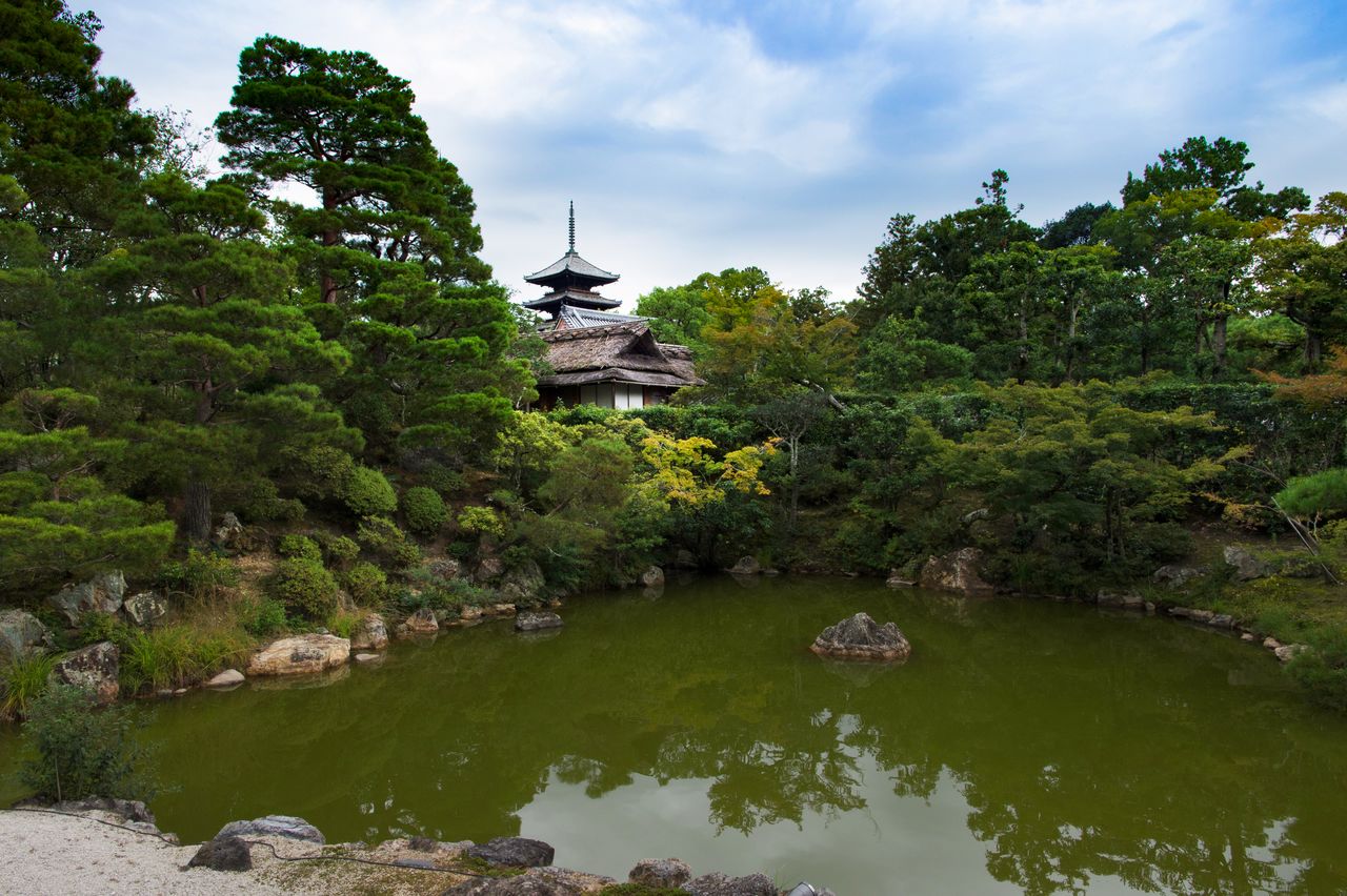 Le petit déjeuner a lieu dans le pavillon de thé Hitô-tei, ici visible devant la pagode à cinq étages.