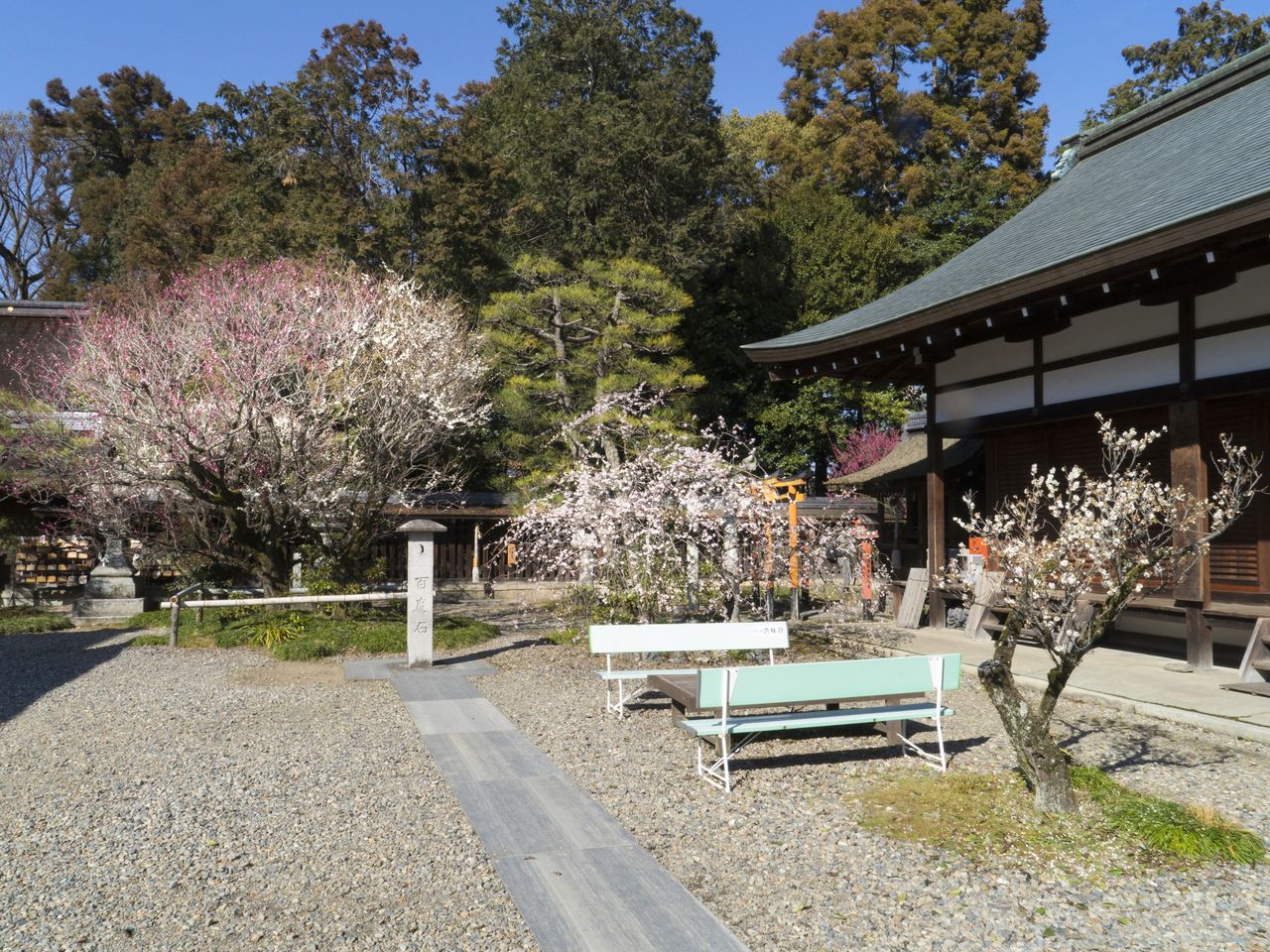 Des bancs près de la pierre hyakudo ishi où les visiteurs peuvent s’asseoir et contempler le spectacle