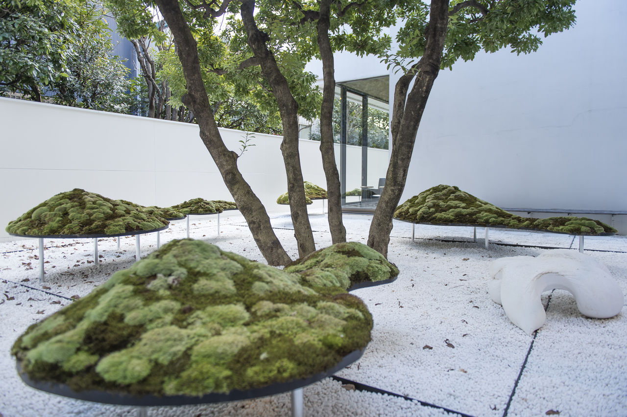 Le jardin est le fruit de la collaboration des directeurs artistiques Kawakami Shun et Kaneko Kazuki avec le fleuriste Tanaka Takayuki et le concepteur de jardins Ono Yutaka.