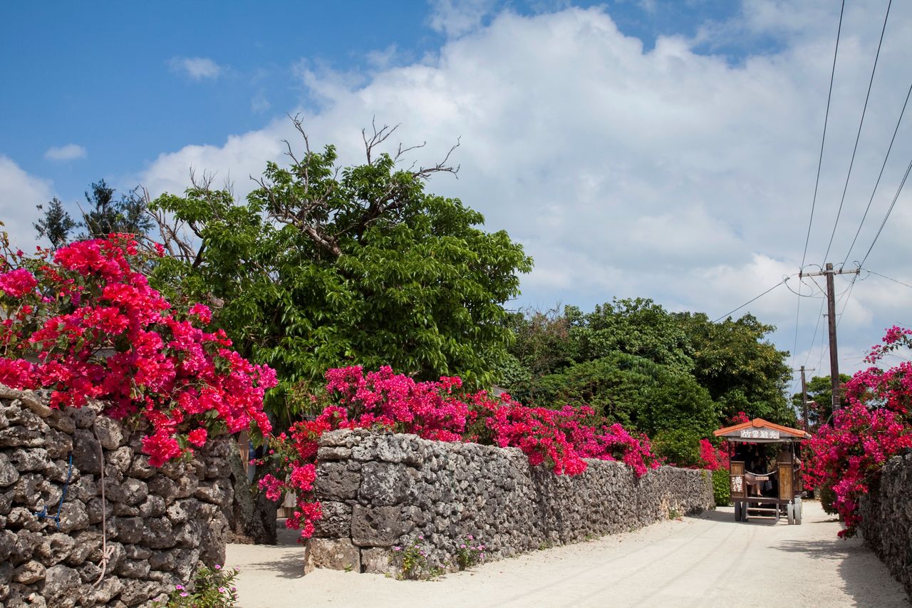 Sur l’île de Taketomi, de nombreuses habitations portent encore les signes distinctifs de la culture traditionnelle Ryûkyû (avec l’aimable autorisation de l'Okinawa Convention & Visitors Bureau)