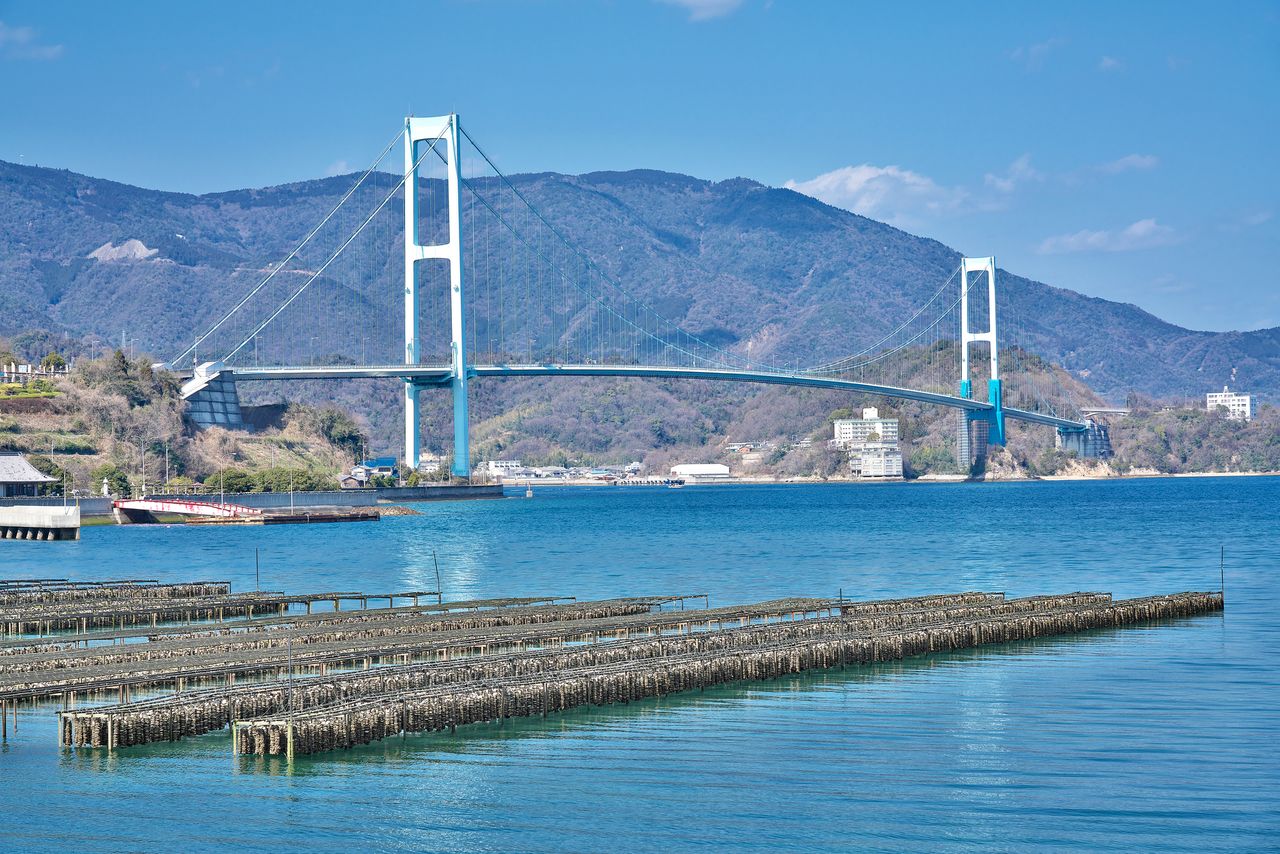 Exploitations ostréicoles, et le pont Akinada en arrière-plan (Pixta)