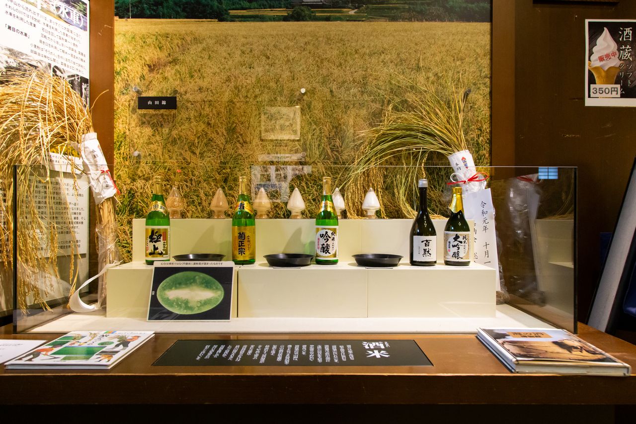 Une exposition sur le riz employé dans le brassage du saké. La brasserie Kiku-Masamune a signé un accord avec les producteurs de riz de Miki, dans la préfecture de Hyôgô, vers la fin du XIXe siècle pour la fabrication de riz pour le saké. Cette région est maintenant connue pour sa production de Yamada-nishiki.
