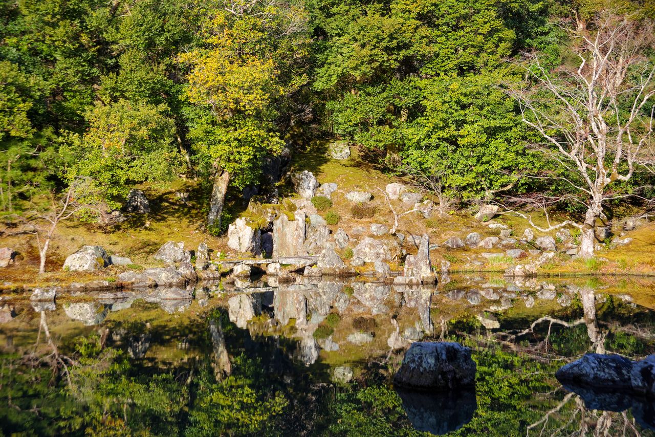 Au centre de la photo, on voit la cascade Ryûmonbaku et à son pied la plus ancienne passerelle en pierre du Japon. Lors de la visite, mieux vaut s’armer de jumelles ou d’un téléobjectif pour pouvoir l’observer.
