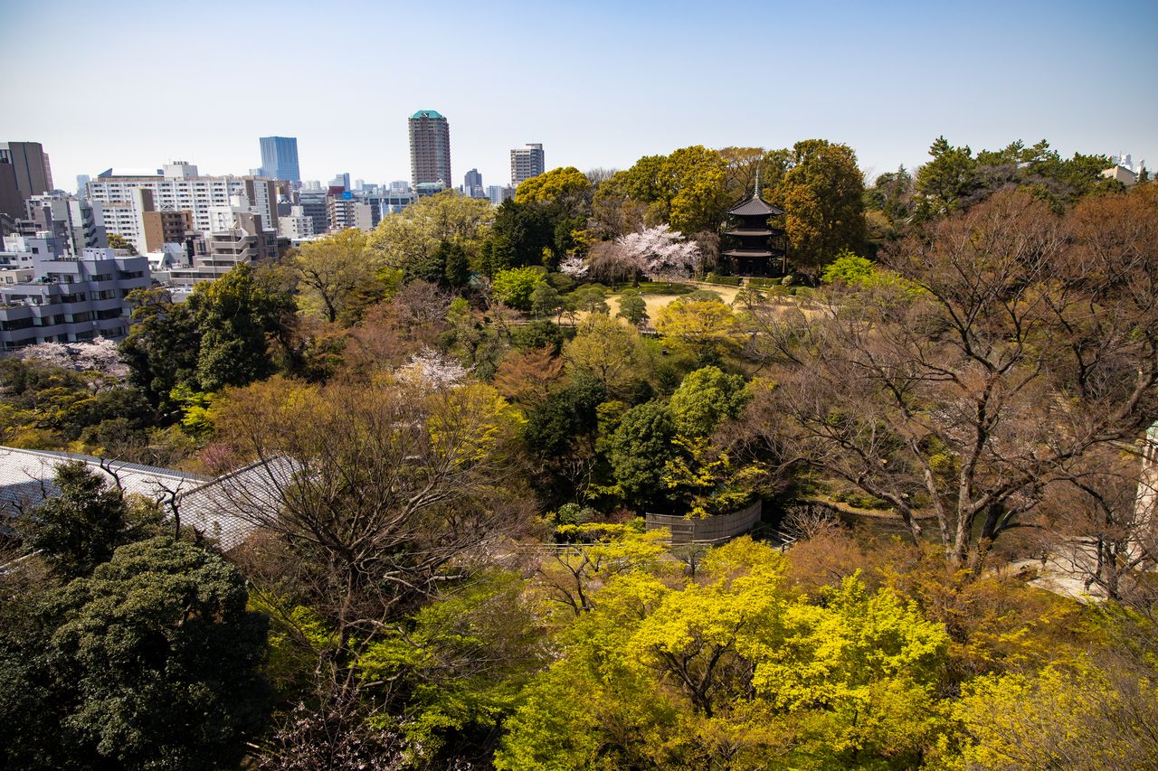 Vue depuis le Serenity Garden. Situé sur le toit de l'hôtel, il donne sur une véritable oasis en plein Tokyo.