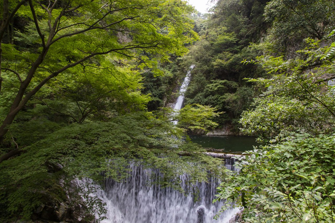 Difficile de croire que la cascade Mentaki se trouve à seulement cinq minutes d’une gare de Shinkansen.