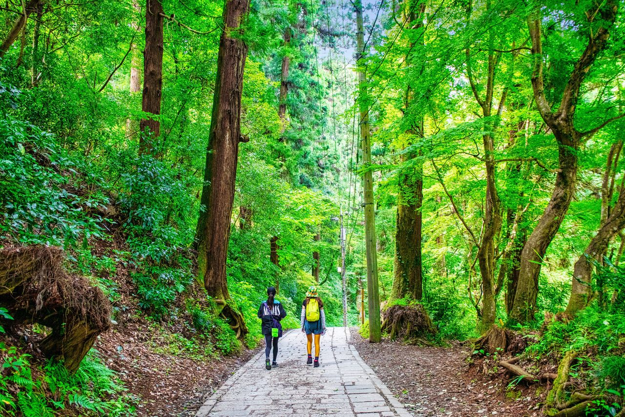 Facile d'accès depuis la capitale, le mont Takao rassemble beaucoup de randonneurs occasionnels. (© Pixta)