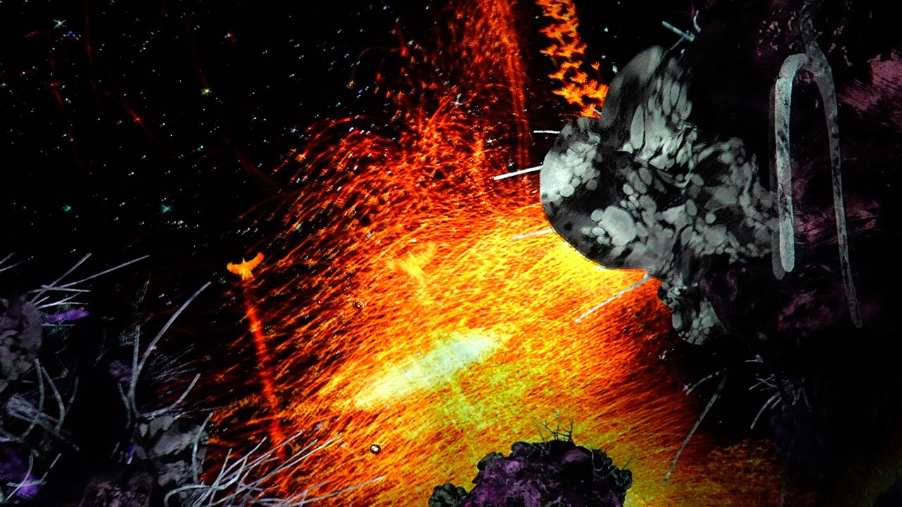 « La voie des oiseaux », une vision mystique de milliers d’oiseaux en plein vol.