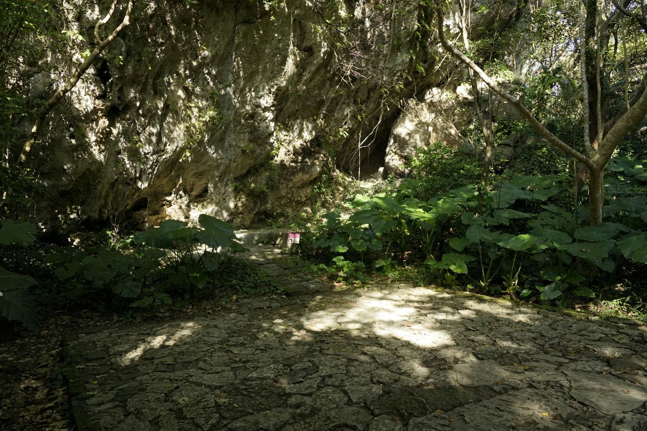 Le site d’Ufugûi signifie « Grande salle ». L’espace devant la roche servait de lieu de prière.