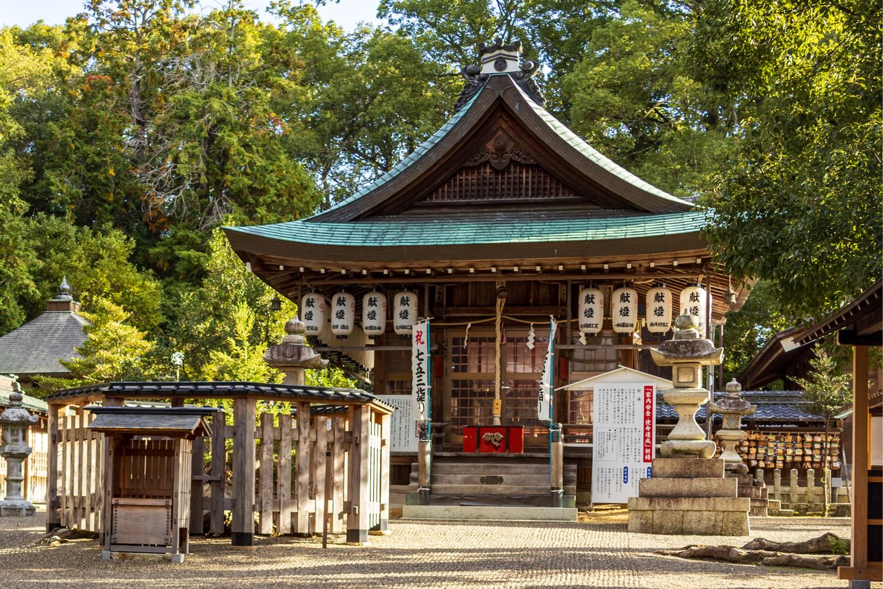 La souche de l’arbre sacré du sanctuaire, entourée d’une clôture en bois, se trouve devant le pavillon de prière. (Photo : Nippon.com)