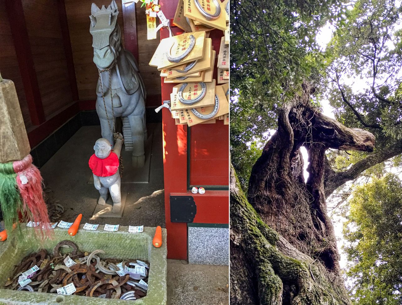 (À gauche) Anba, le singe divin, menant un cheval sacré. (À droite) Une des branches noueuses de l'arbre sacré du sanctuaire évoque, par le plus grand des hasards, une tête de cheval ! (© Pixta)