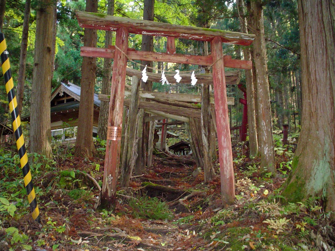 Les anciens torii du sanctuaire (© Association de tourisme de Tôno)