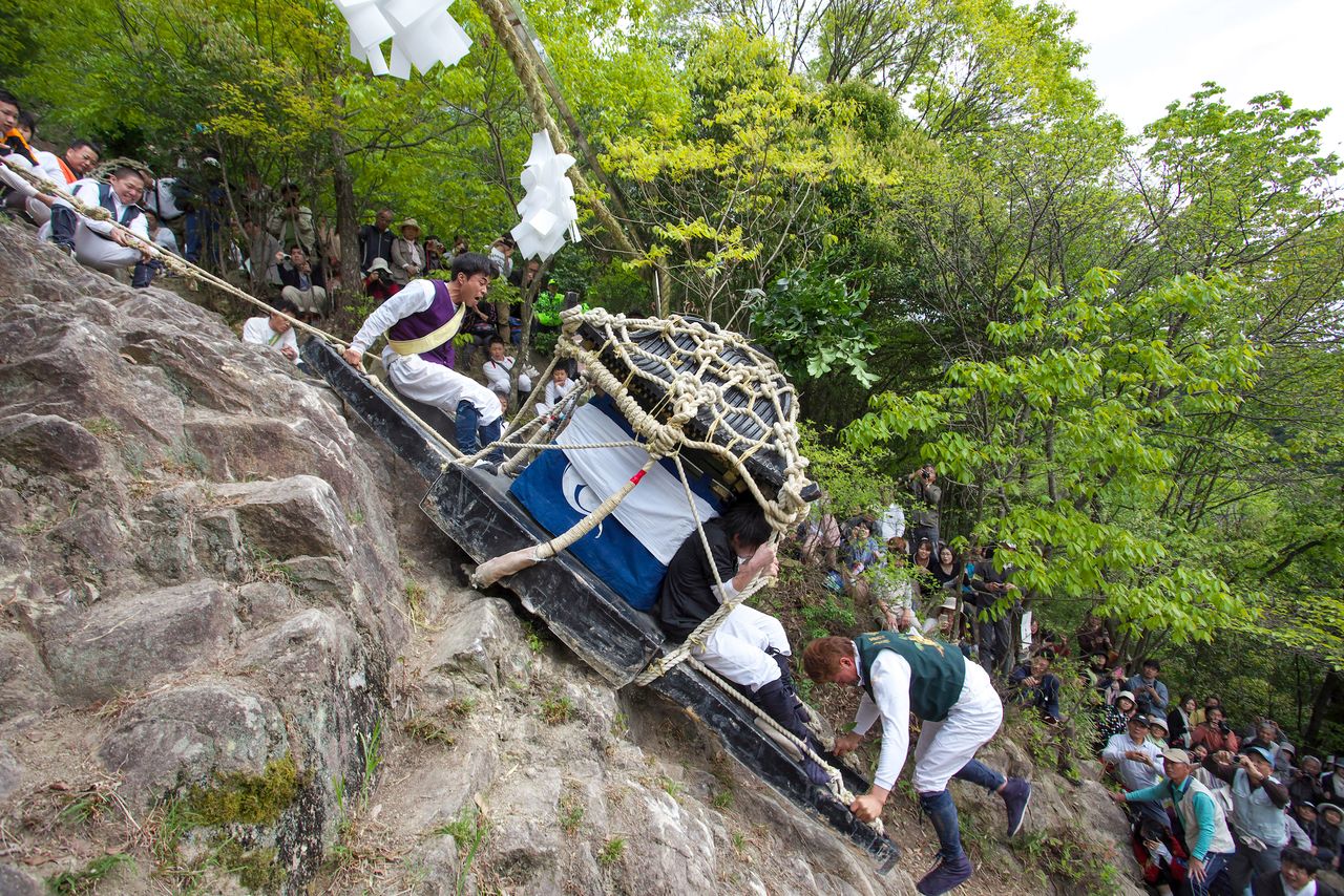 Des cordes contrôlent la descente du mikoshi sur la pente raide. (© Haga Library)