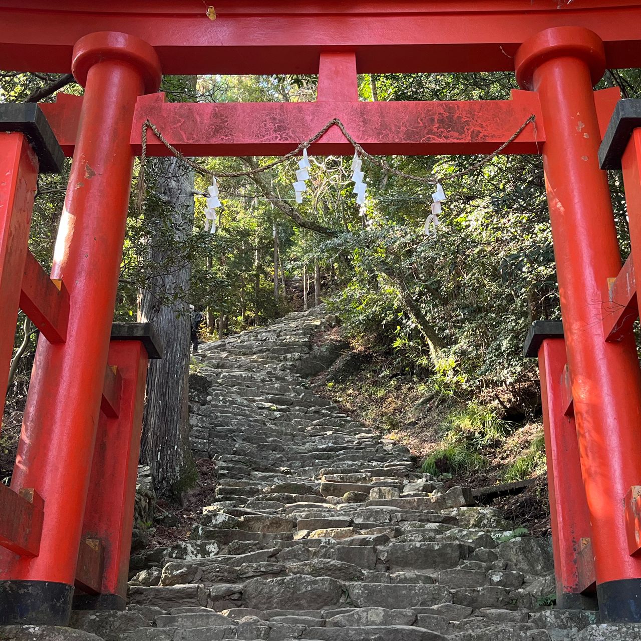 L’escalier de pierre s’élevant depuis le torii situé au départ du sentier (© Kitazaki Jirô)