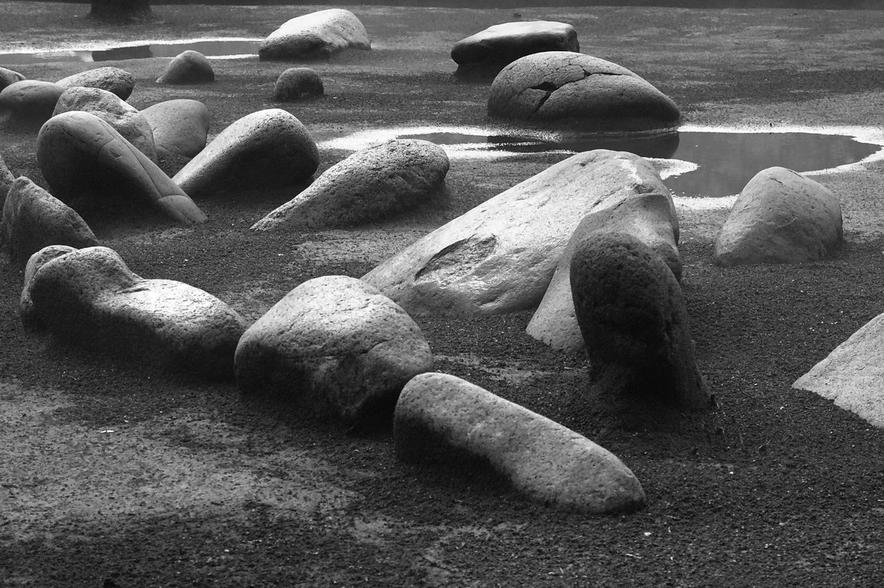 En les observant, les pierres semblent prendre vie (2004).