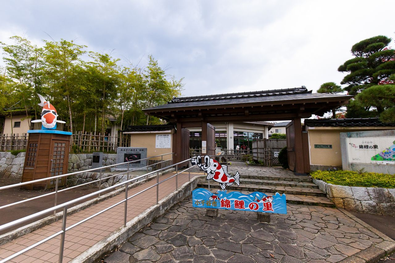 L'entrée de Nishikigoi no Sato. Les tickets coûtent 520 yens pour les adultes et 310 pour les écoliers et les collégiens. L'agence est à environ 10 minutes de bus de la gare d'Ojiya, sur la ligne Jôetsu de la compagnie JR des chemins de fer japonais.
