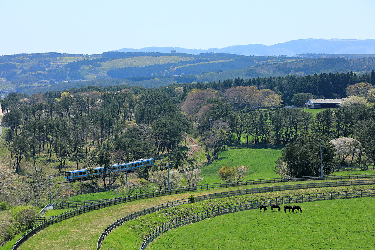Mai. Une rame de la s&eacute;rie E130, sur la ligne JR Hachinohe, entre les gares de Same et Mutsu-Shirahama, &agrave; Hachinohe, pr&eacute;fecture d&rsquo;Aomori. La photo a &eacute;t&eacute; prise du phare de Samekado, qui offre une perspective jusqu&rsquo;&agrave;  l&rsquo;oc&eacute;an pacifique.  Le phare est ouvert aux visiteurs d&rsquo;avril &agrave; octobre, ce qui m&rsquo;a permis de prendre cette photo du train traversant un paysage bucolique.