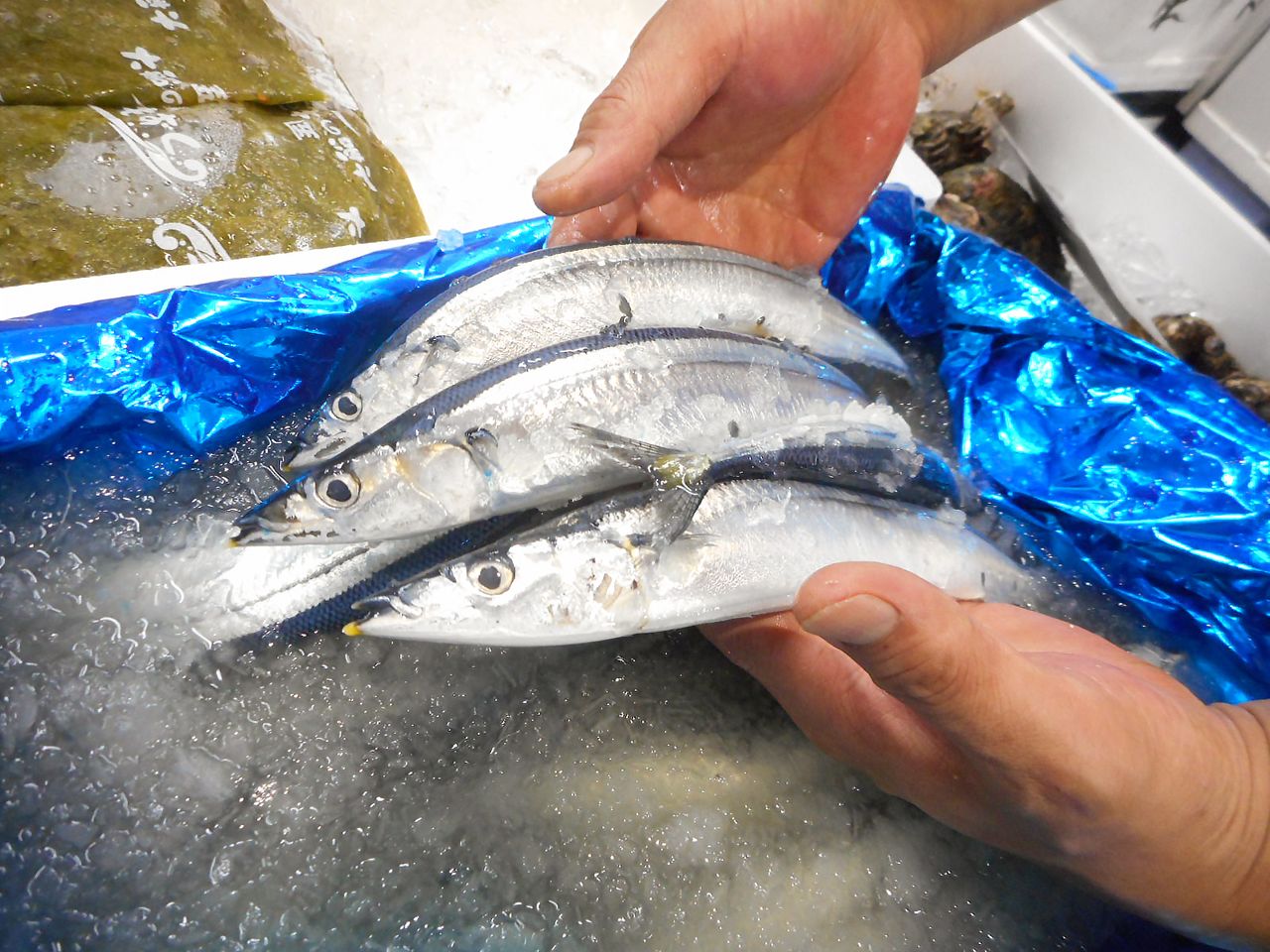 Les clients du marché aux poissons de Toyosu déplorent la baisse de qualité du balaou de début de saison (photo de l'auteur).