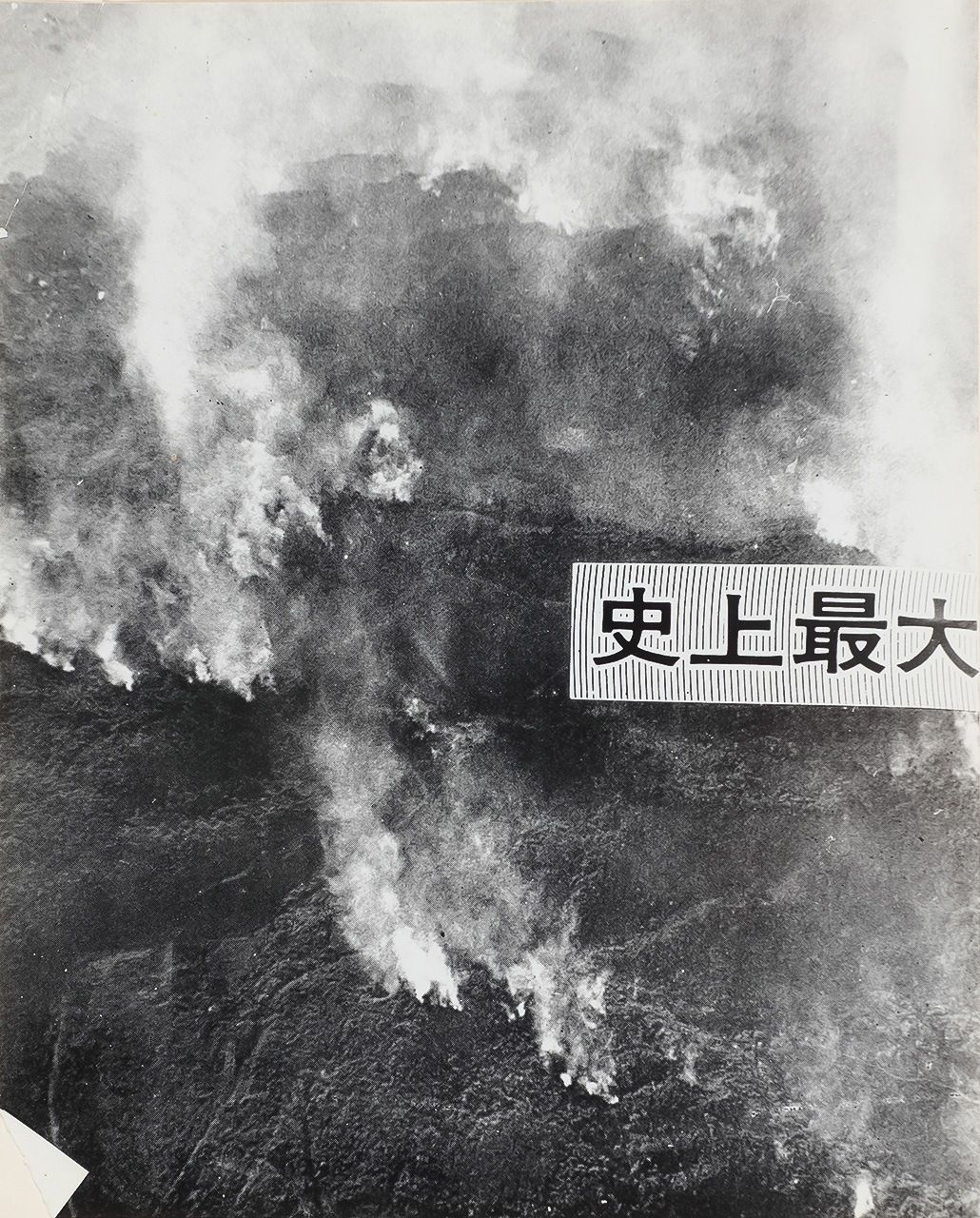 Le feu a envahi les collines boisées desséchées. (Avec l’aimable autorisation du gouvernement municipal de Miyako)